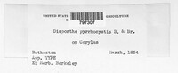 Image Associated With the Occurence